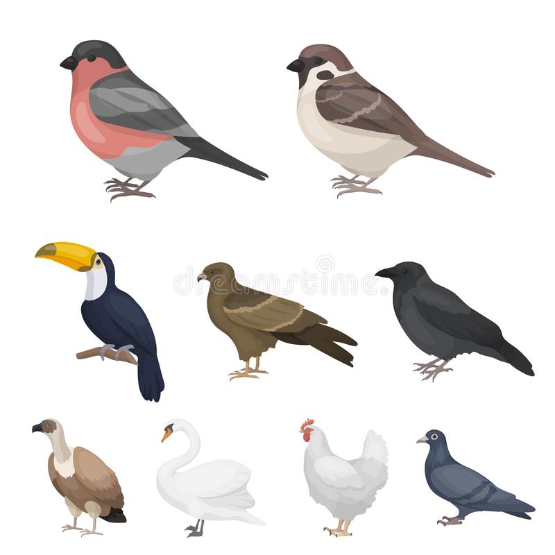 “IM电竞”
杭州国际高尔夫球锦标赛开杆 78名男女球员同场竞技