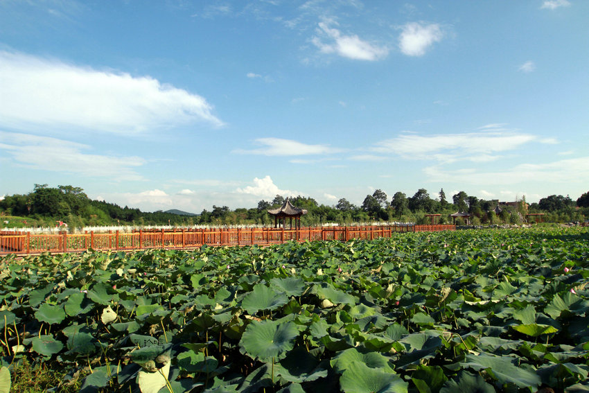 【IM电竞】何为玻璃纤维布呢?(图4) IM电竞