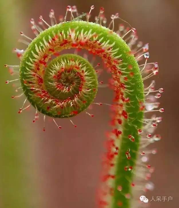 最新静安区幼儿园名单、地址、电话、性质情况一览‘IM电竞平台’(图2) IM电竞