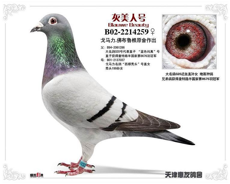 IM电竞平台_苏州灵岩医疗器械有限公司诚招河北省总代理(图2) IM电竞平台