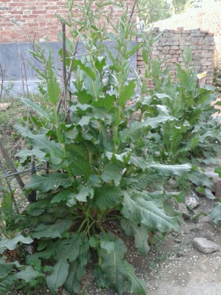 ‘IM电竞’王永珀重返国足盼进球:望获上场机会为球队立功(图3) IM电竞平台