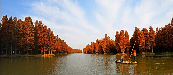 ‘IM电竞’20岁天才在CBA无球可打!有意前往外洋生长,曾陷情感纠葛(图1) IM电竞