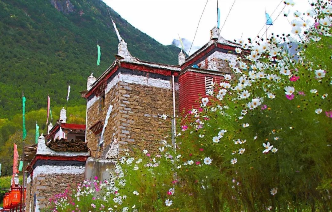 ‘IM电竞’20岁天才在CBA无球可打!有意前往外洋生长,曾陷情感纠葛(图2) IM电竞官网