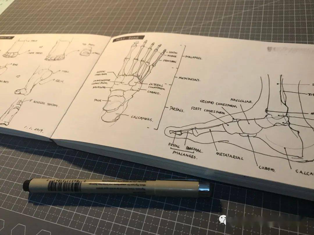 
来稿丨一组出口转内销的球鞋训练稿_IM电竞官网(图11)