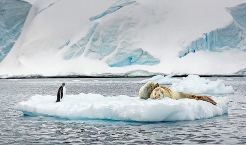 IM电竞平台-无锡男健医院看男科更规范(图4) IM电竞