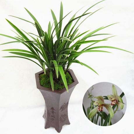 “IM电竞官网”重庆治疗白癜风哪家医院是正规的(图2) IM电竞平台