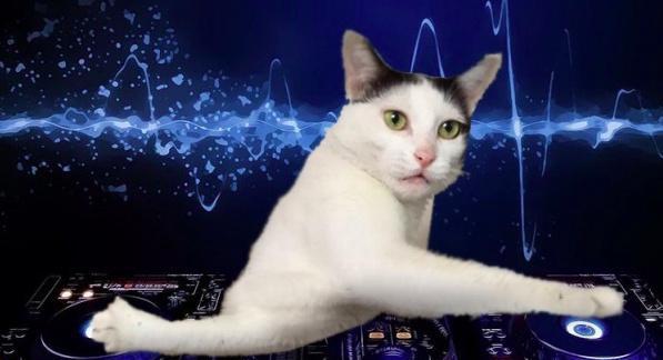 彝良县中医医院医疗设备采购竞争性谈判公告‘IM电竞官网’(图4) IM电竞