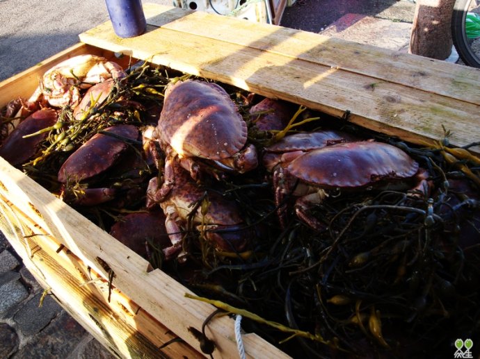 IM电竞官网:小叶增生不能吃什么小叶增生的症状别忽视(图2) IM电竞平台