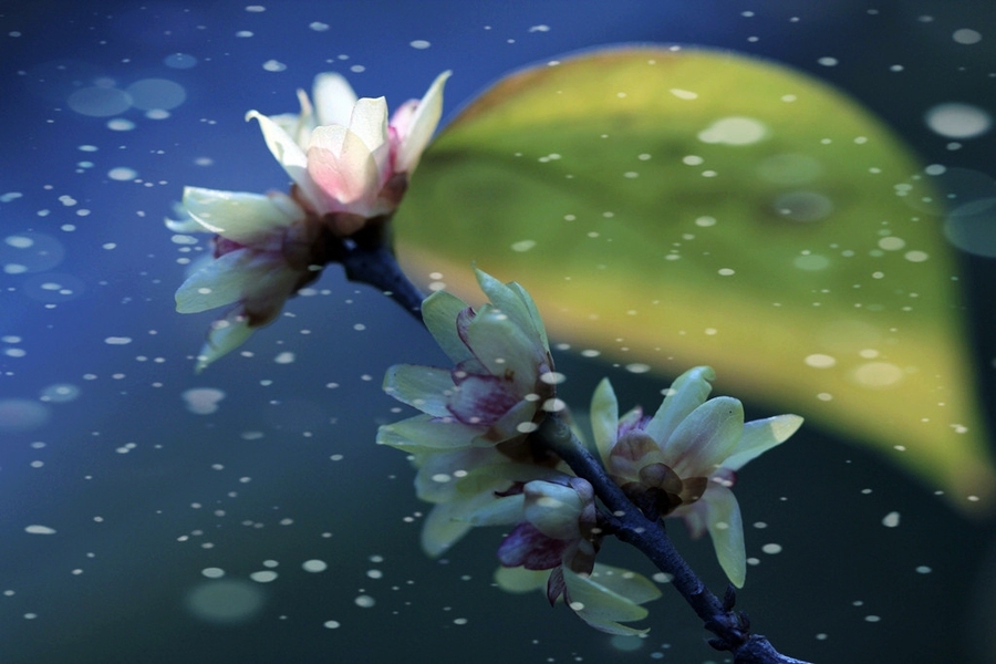 2020长宁区东展幼儿园收费:IM电竞平台(图2) IM电竞官网