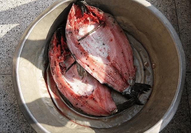 孙卫:国奥大名单难以抉择 为何没招入张呈栋“IM电竞平台”(图1) IM电竞