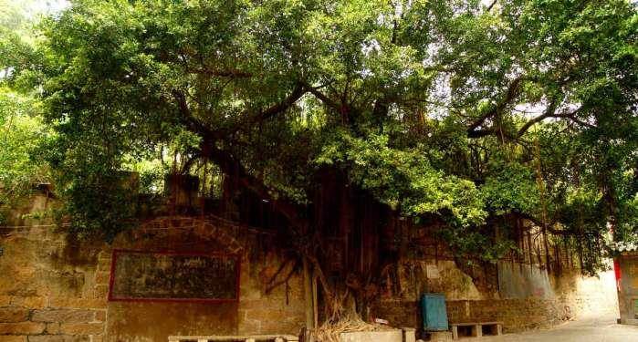 
汕头这个区, 有一座全国最小的袖珍古城, 只有半个球场大!【IM电竞】(图5)