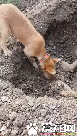 从超声行业发展看消毒超声耦合剂需求_IM电竞