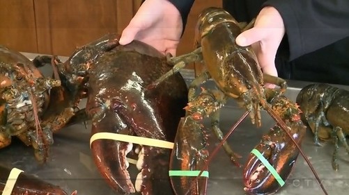 “IM电竞官网”如何预防青春期功能失调性子宫出血(图4) IM电竞