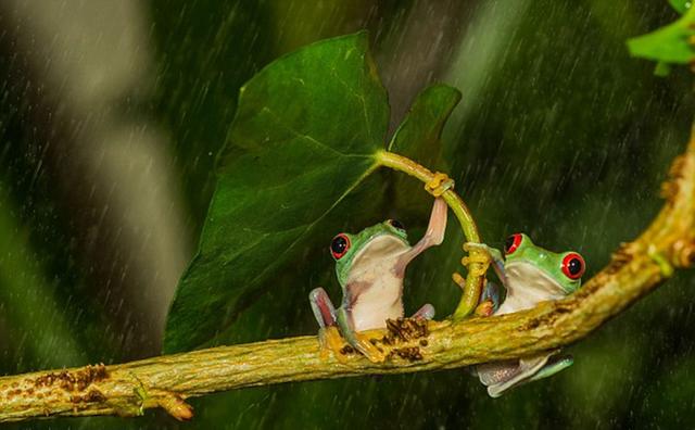 IM电竞平台|四国赛:国奥1-1韩国获亚军糜昊伦轰世界波(图1) IM电竞