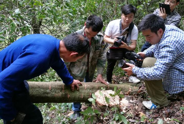IM电竞-
女孩高考703分 学霸身份下还是“女球痴” 同学:巾帼不让须眉(图4) IM电竞平台