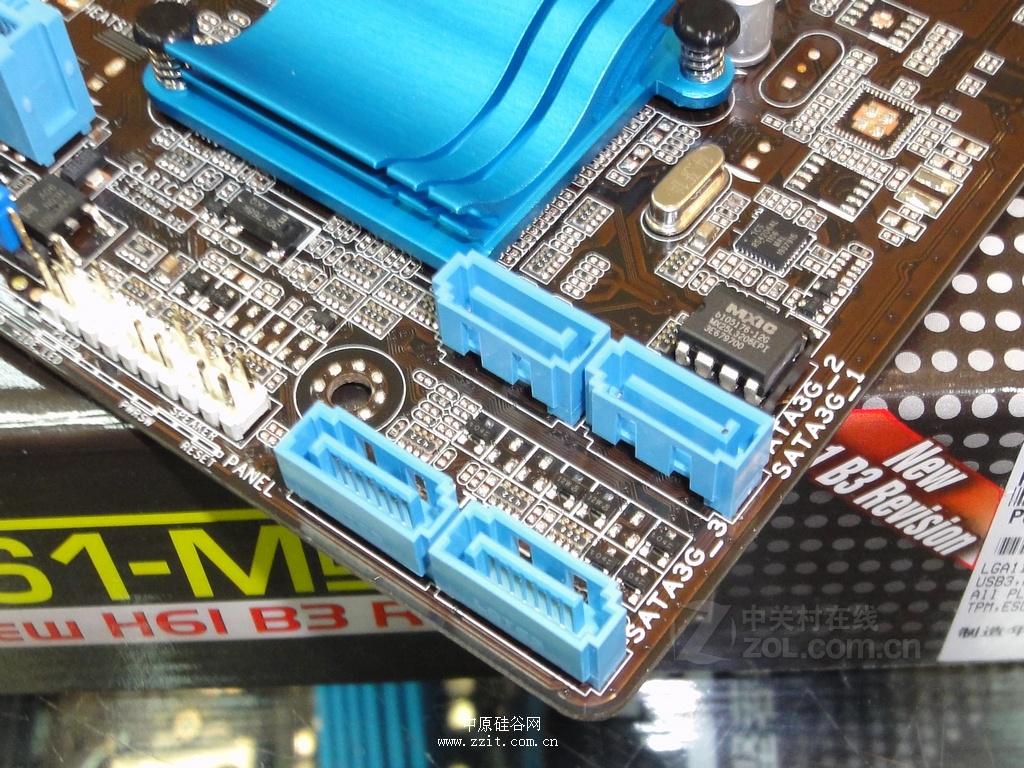 玫瑰再绽放|首战德国贾秀全:希望队员们在世界杯上展示最真实的自己_IM电竞官网(图2) IM电竞