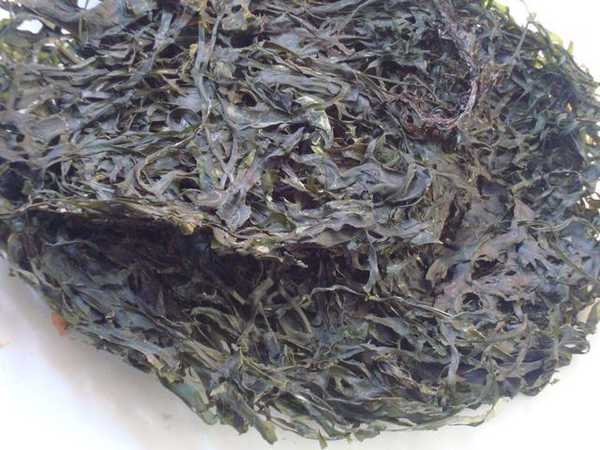 全国愉快教育研究协作体主题交流活动在龙江路小学举行|IM电竞(图2) IM电竞平台