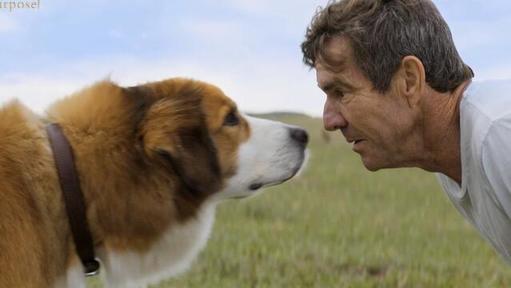 IM电竞-尿道悬吊带系统有什么用?尿道悬吊带排异有什么症状?(图3) IM电竞平台