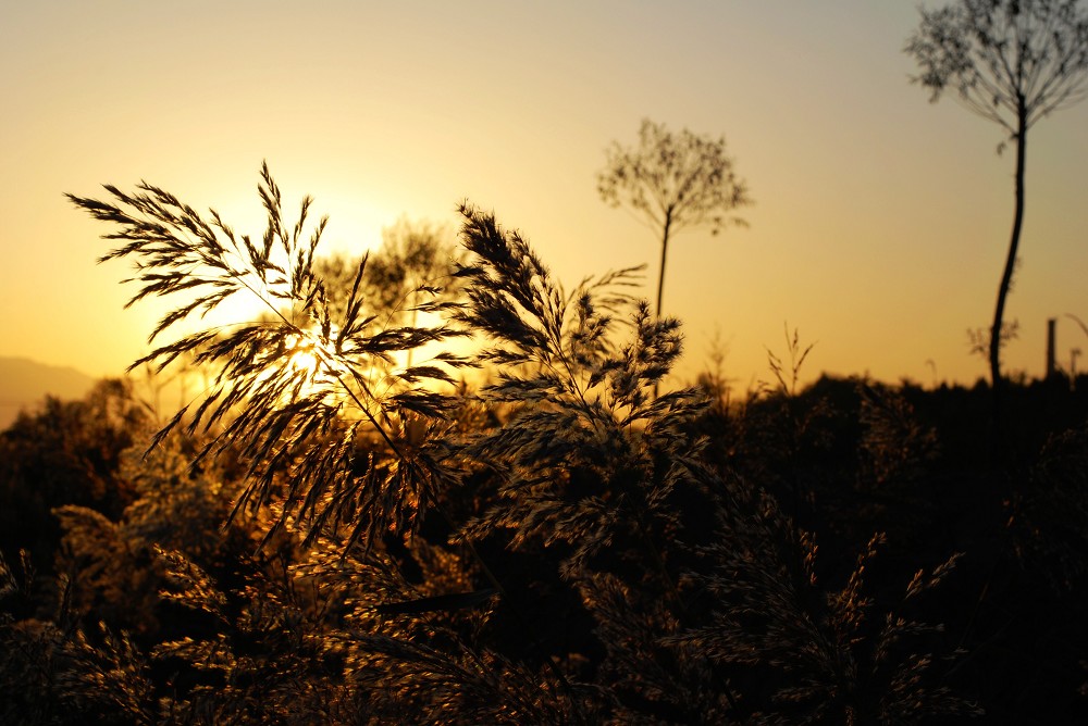 福利院院长雪天送孤儿就医返程不幸遇难|IM电竞(图1) IM电竞官网