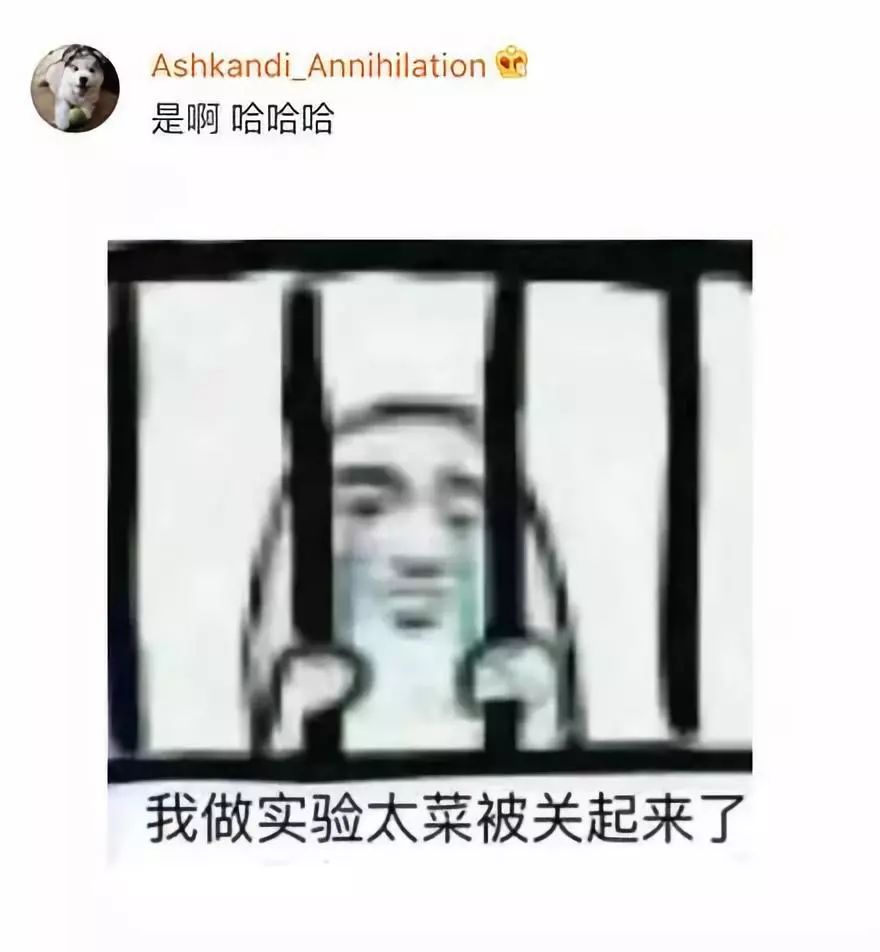 IM电竞平台