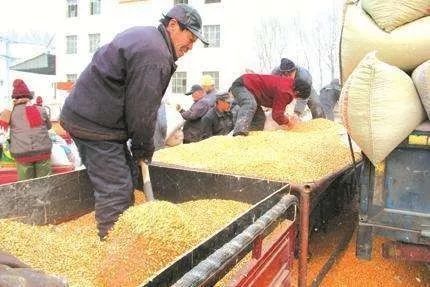 IM电竞平台